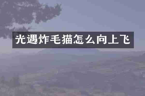 光遇炸毛猫怎么向上飞