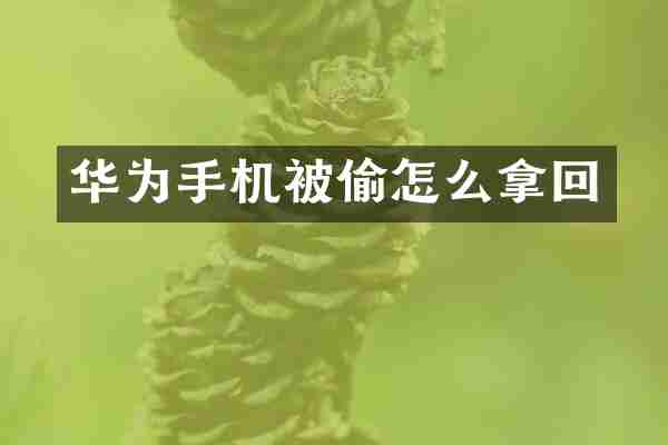 华为手机被偷怎么拿回