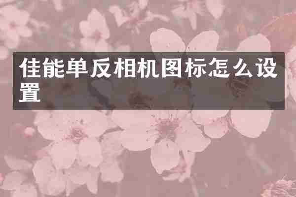 佳能单反相机图标怎么设置