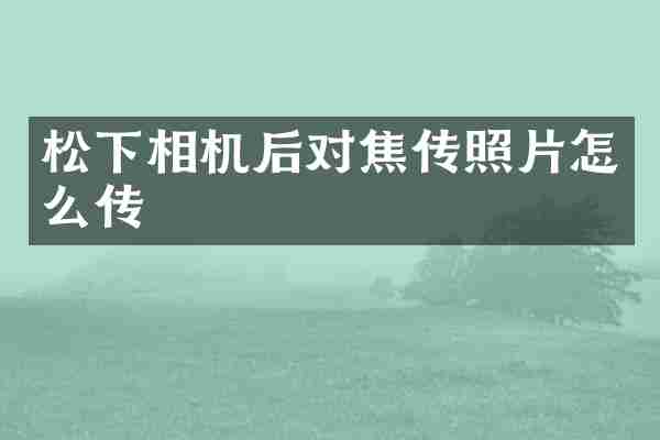 松下相机后对焦传照片怎么传