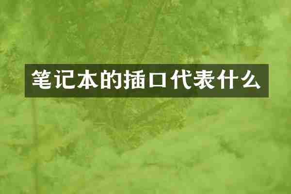 笔记本的插口代表什么