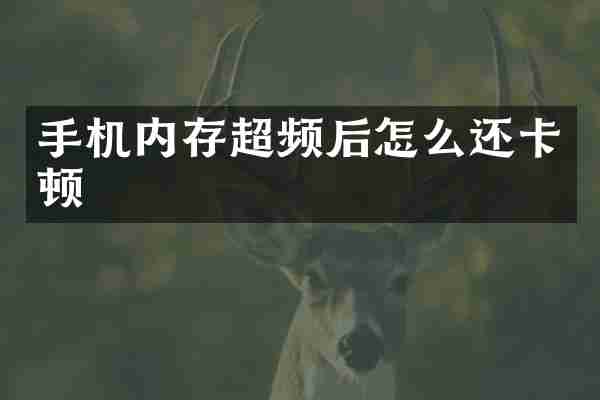 手机内存超频后怎么还卡顿