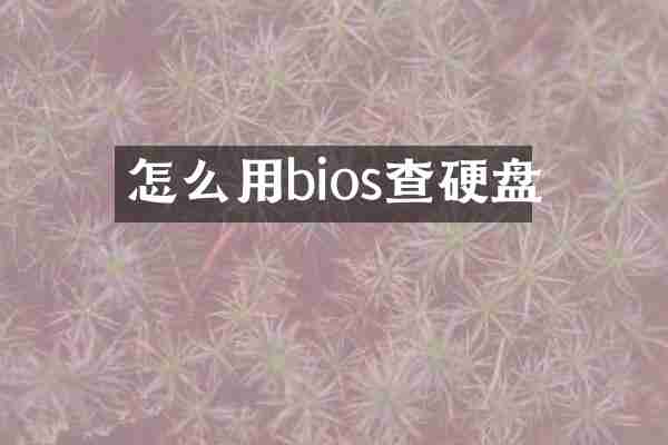 怎么用bios查硬盘