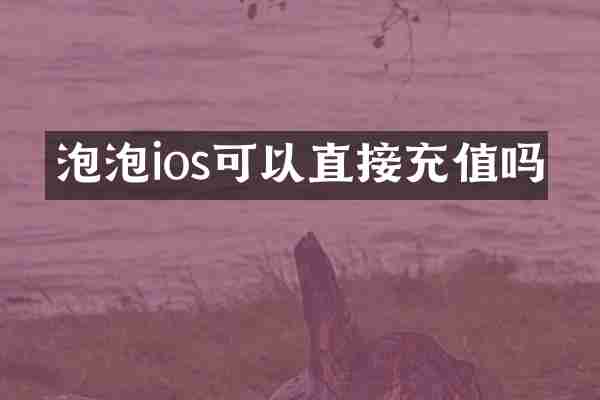 泡泡ios可以直接充值吗