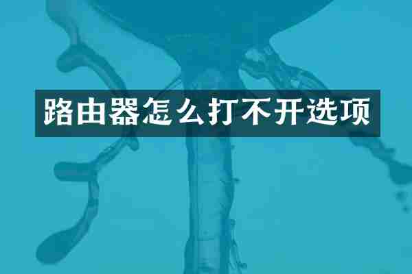 路由器怎么打不开选项