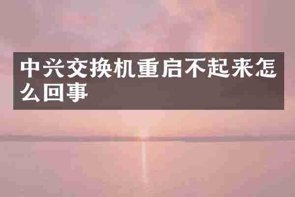 中兴交换机重启不起来怎么回事