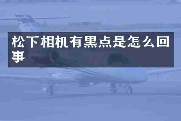 松下相机有黑点是怎么回事