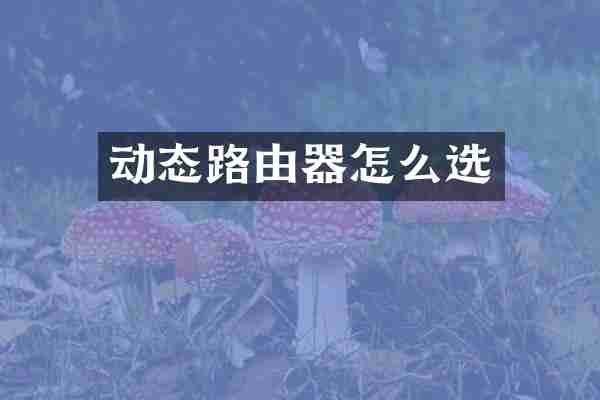 动态路由器怎么选