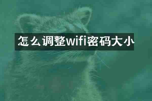 怎么调整wifi密码大小