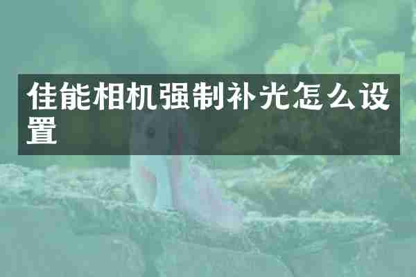 佳能相机强制补光怎么设置