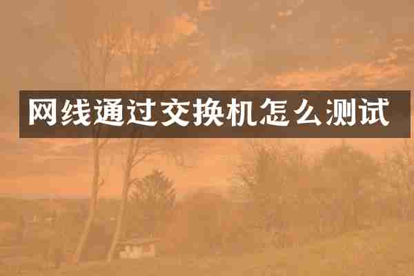 网线通过交换机怎么测试