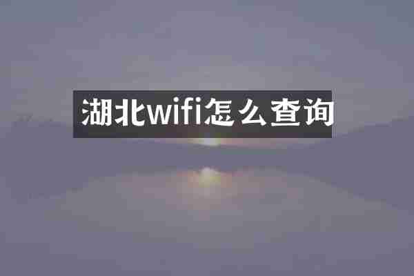 湖北wifi怎么查询