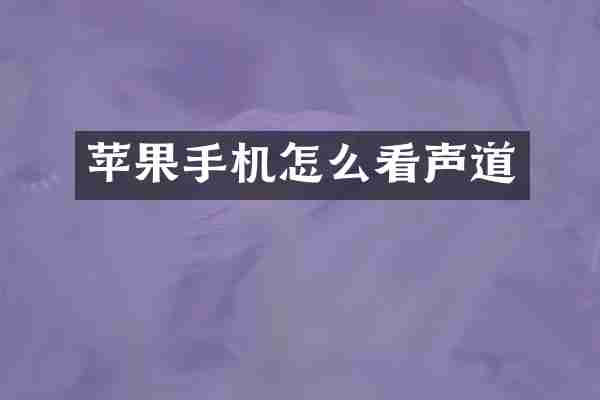 苹果手机怎么看声道