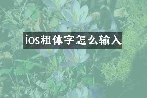 ios粗体字怎么输入
