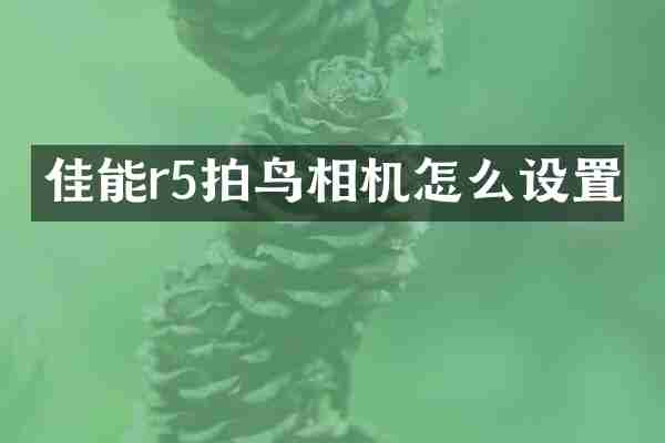 佳能r5拍鸟相机怎么设置