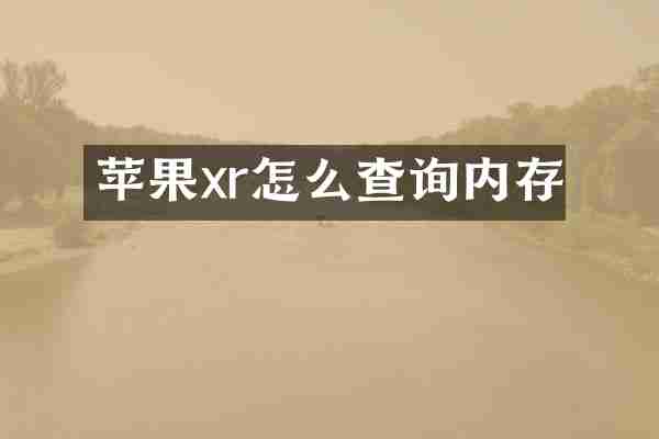 苹果xr怎么查询内存