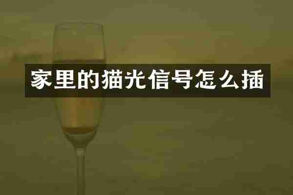 家里的猫光信号怎么插