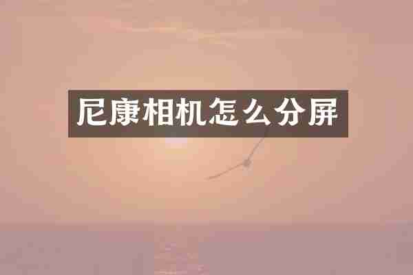尼康相机怎么分屏
