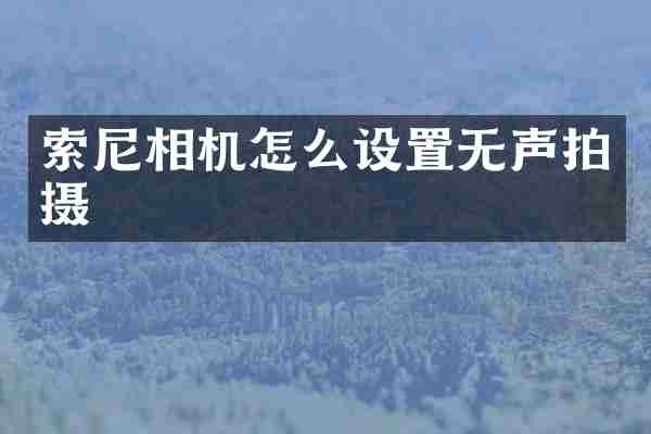 索尼相机怎么设置无声拍摄