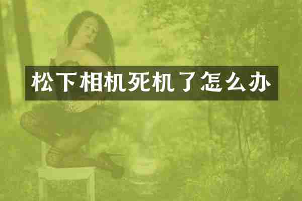 松下相机死机了怎么办