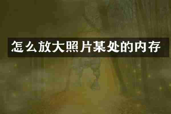 怎么放大照片某处的内存
