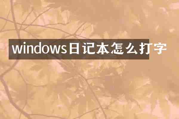 windows日记本怎么打字