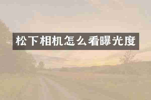 松下相机怎么看曝光度