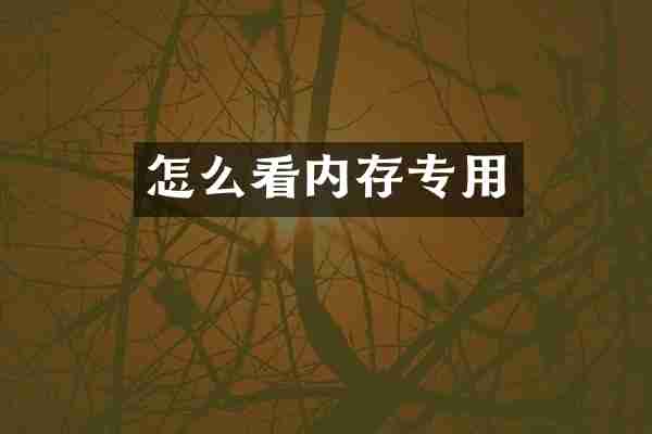 怎么看内存专用