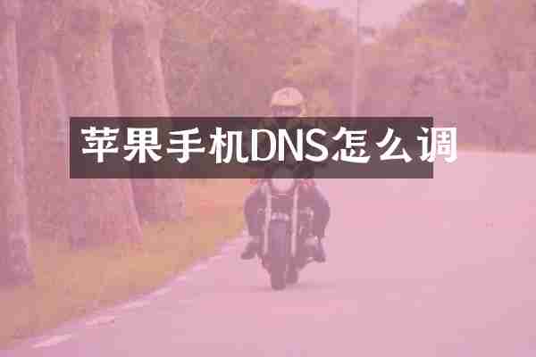 苹果手机DNS怎么调