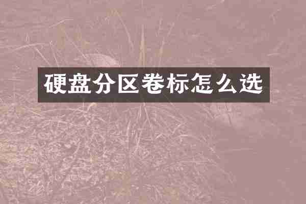 硬盘分区卷标怎么选