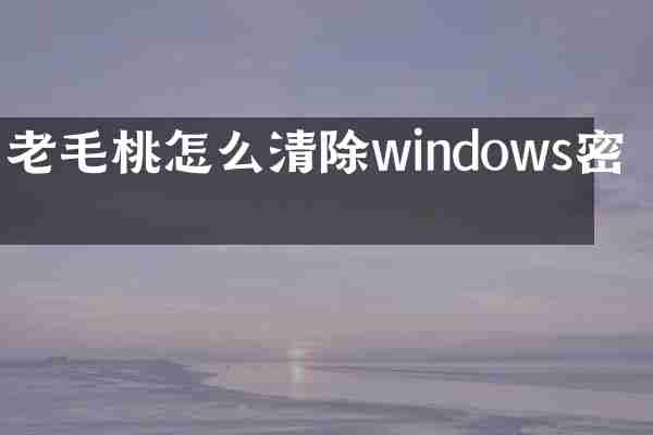 老毛桃怎么清除windows密码
