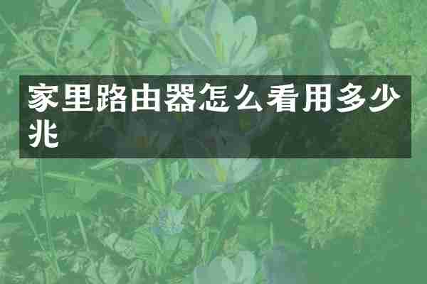 家里路由器怎么看用多少兆