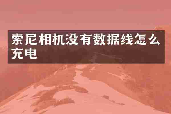 索尼相机没有数据线怎么充电