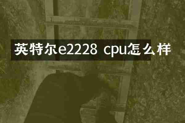 英特尔e2228 cpu怎么样