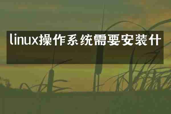 linux操作系统需要安装什么