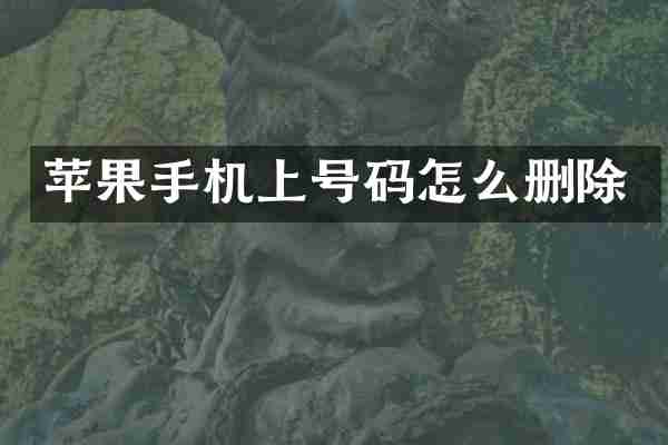 苹果手机上号码怎么删除