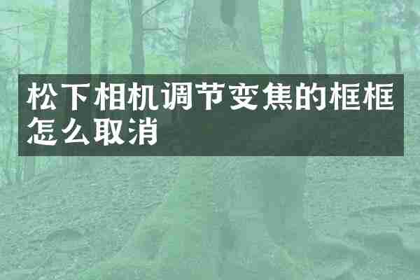 松下相机调节变焦的框框怎么取消