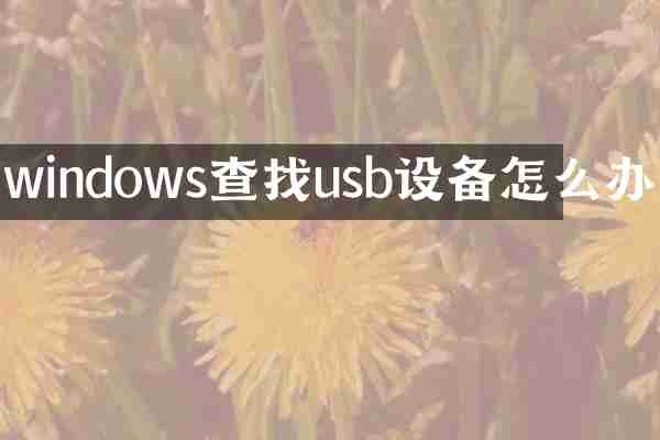 windows查找usb设备怎么办