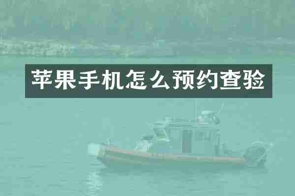 苹果手机怎么预约查验