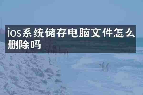 ios系统储存电脑文件怎么删除吗