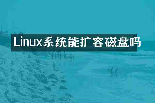 Linux系统能扩容磁盘吗