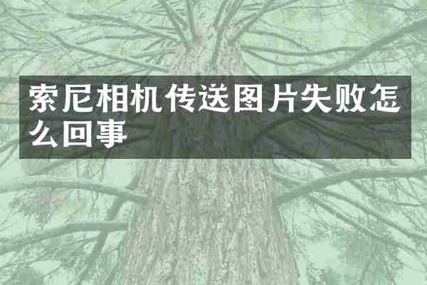 索尼相机传送图片失败怎么回事