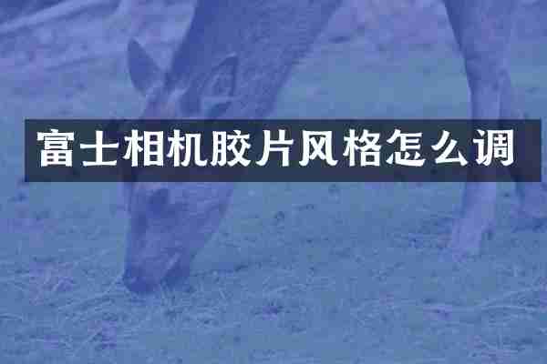富士相机胶片风格怎么调
