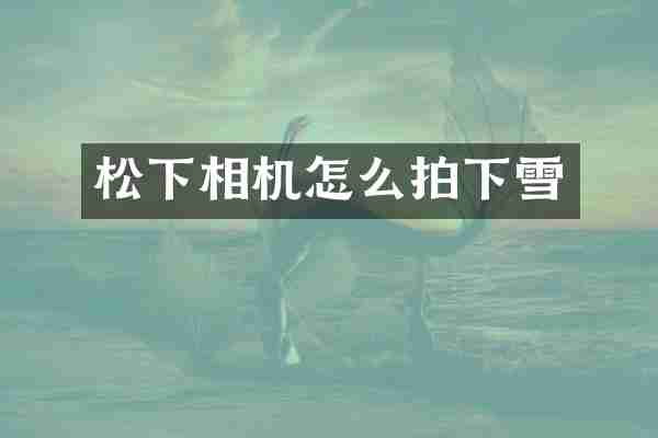 松下相机怎么拍下雪
