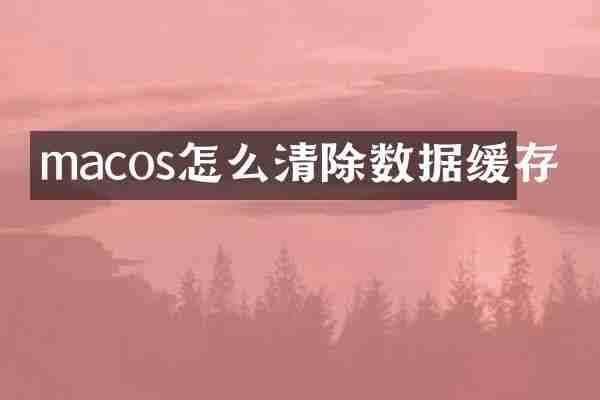macos怎么清除数据缓存