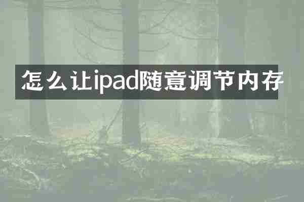 怎么让ipad随意调节内存