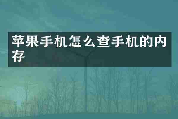 苹果手机怎么查手机的内存