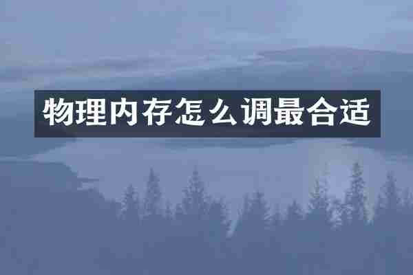 物理内存怎么调最合适