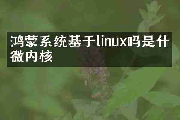 鸿蒙系统基于linux吗是什么微内核