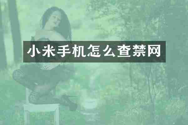 小米手机怎么查禁网